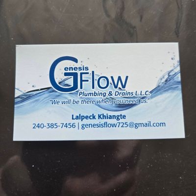 Avatar for Genesis Flow Plumbing & Drains L.L.C