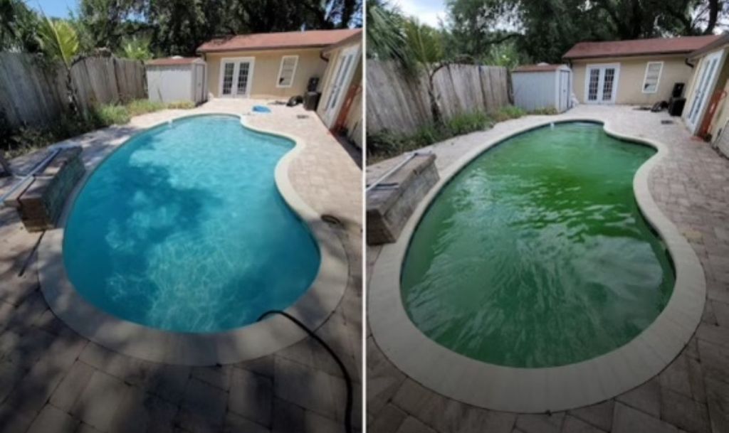 Green to clean treatment done in less than a 48 ho