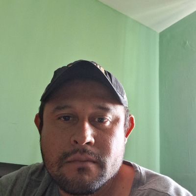 Avatar for Windows Doors trim siding paint defense clean hous