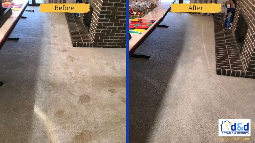 Carpet Cleaning - Before & After