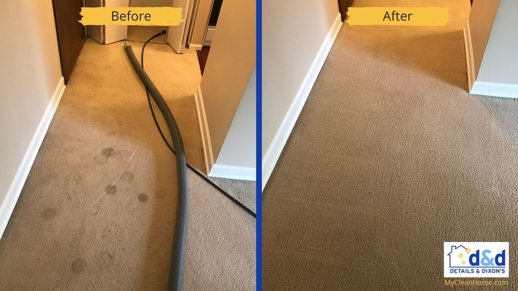 Carpet Cleaning - Before & After