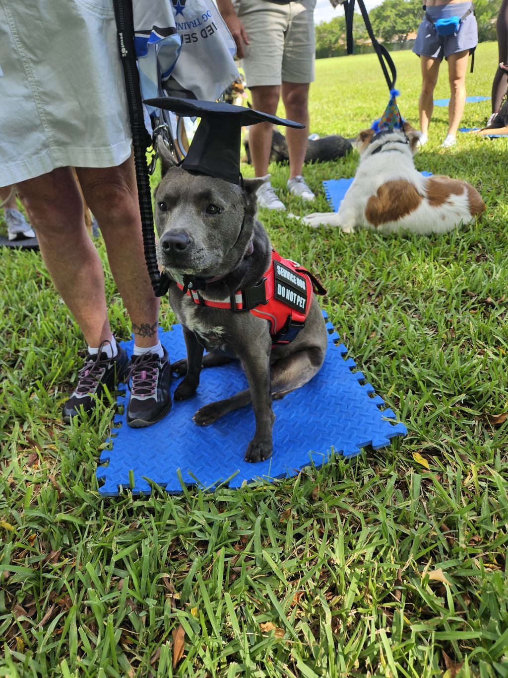 Service Dog Graduation