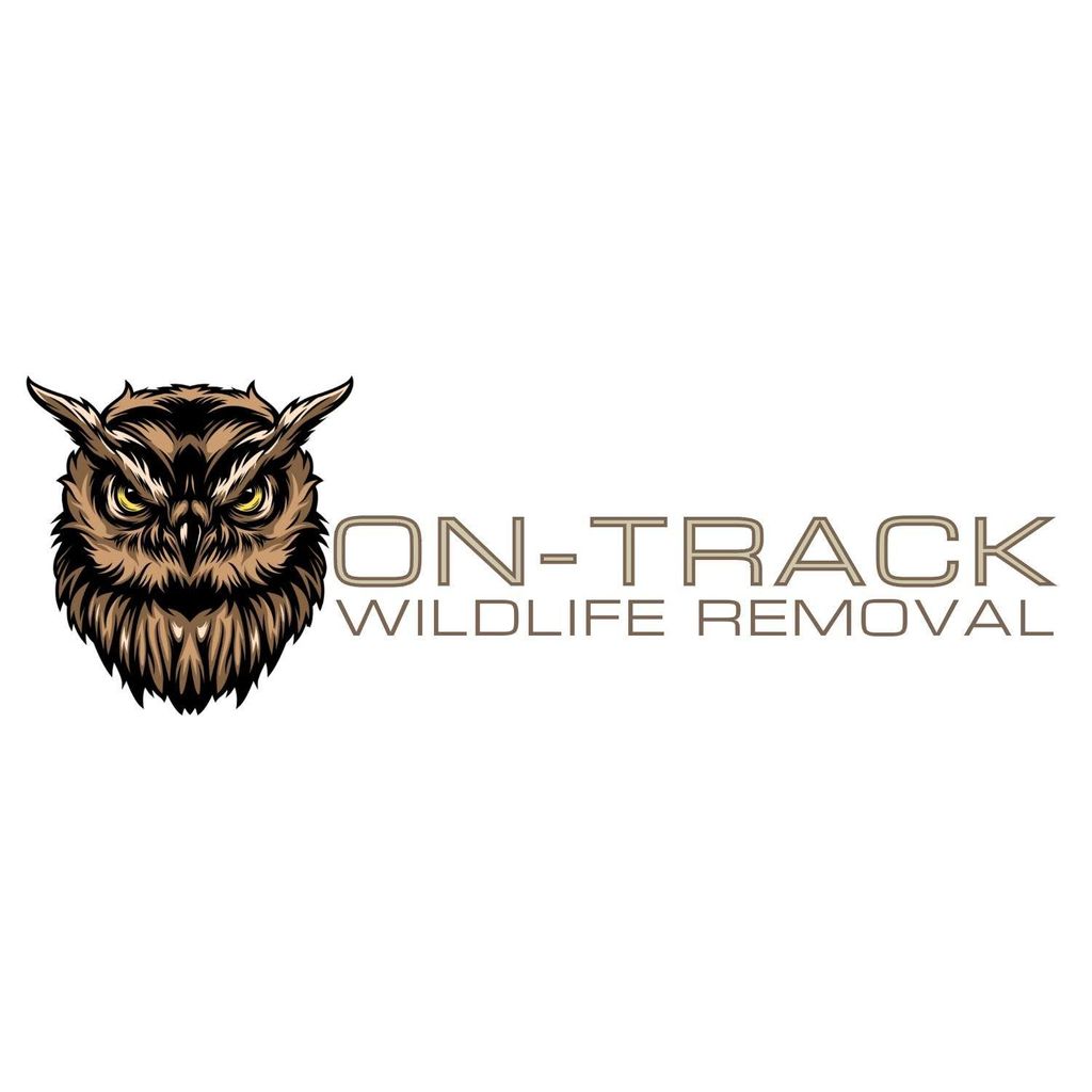On Track Wildlife Removal