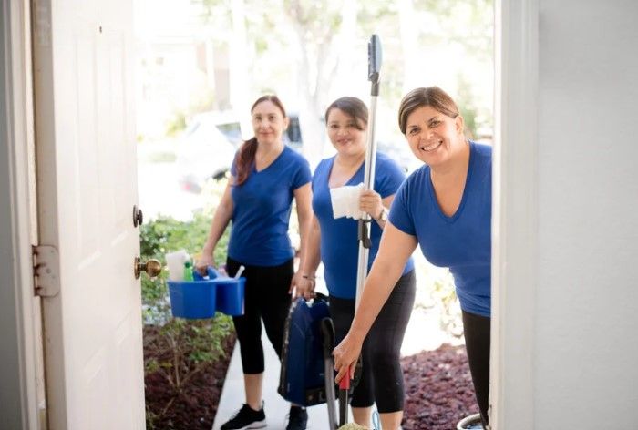 A smile and a sparkle—professional cleaning with a
