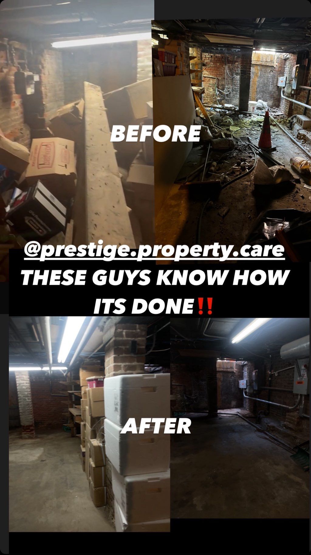 Projects and media