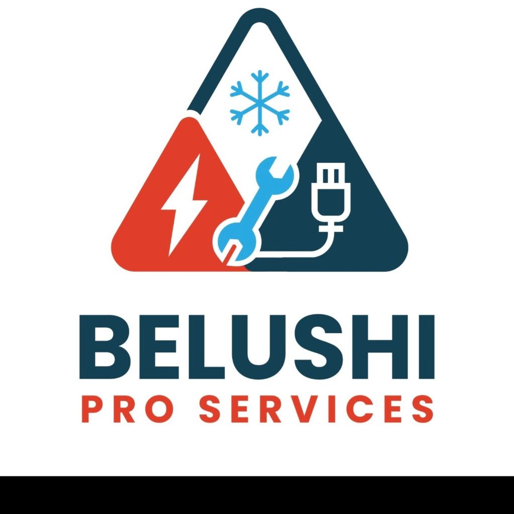Belushi Pro Services