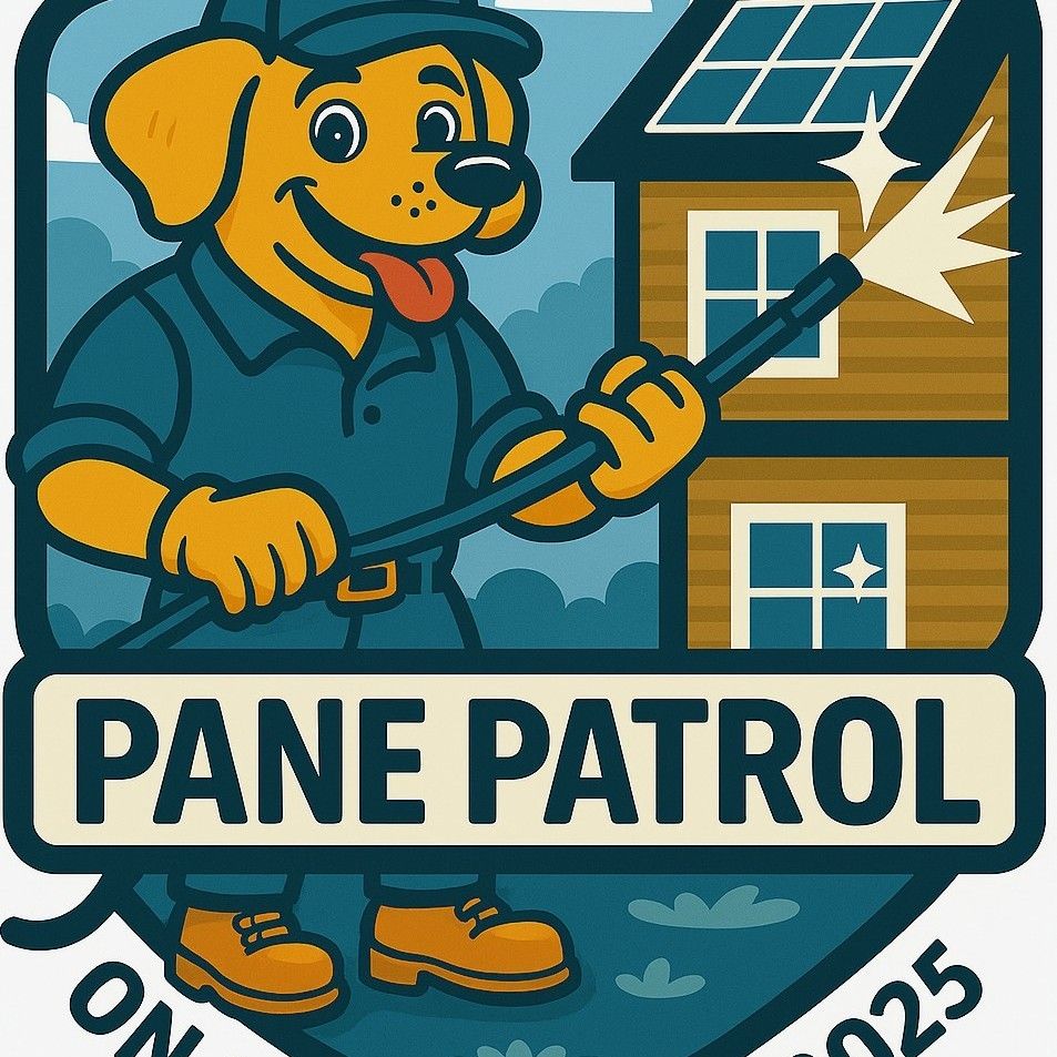 Pane Patrol
