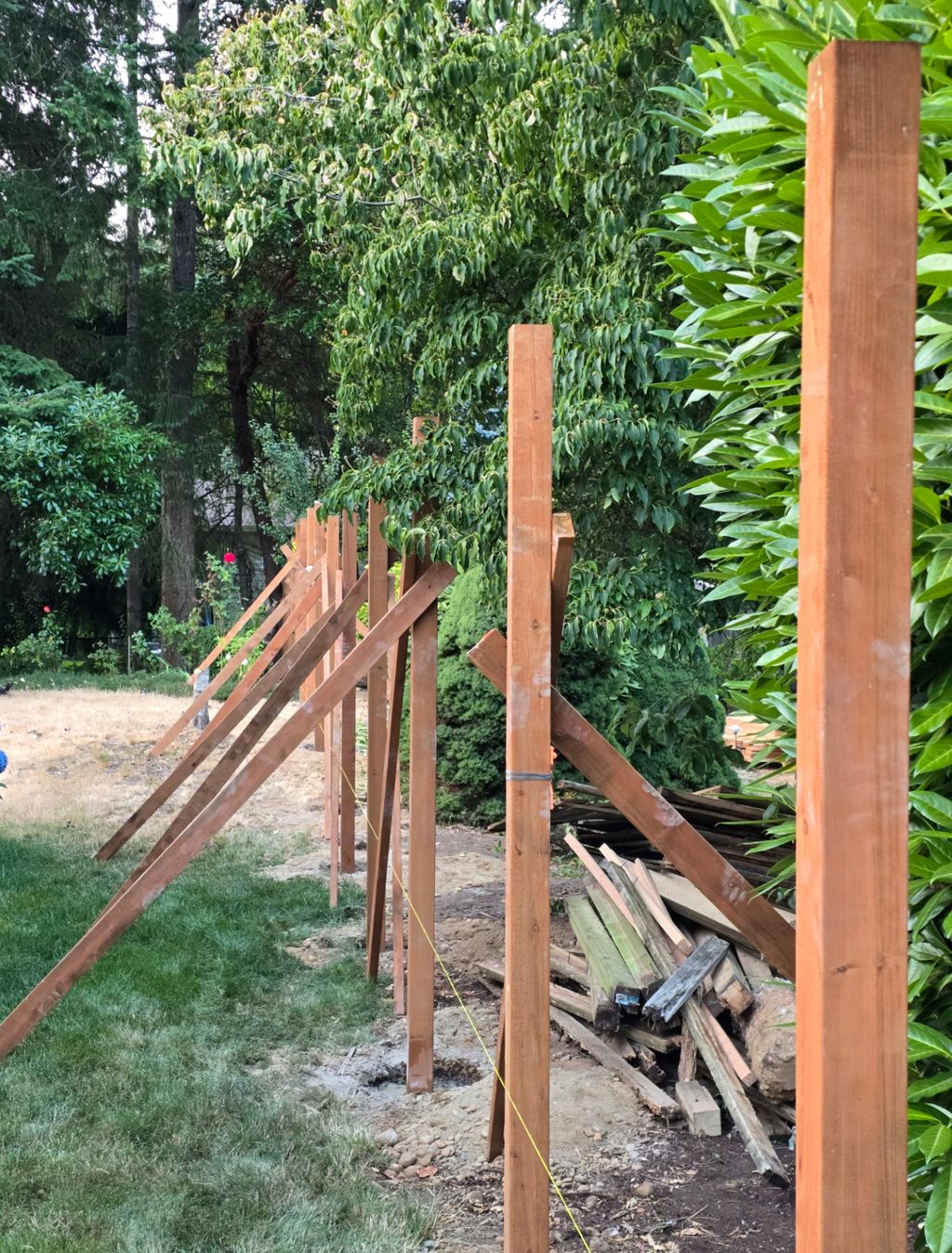 Projects and media