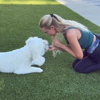 Avatar for Emilie Holstein Certified Dog Trainer