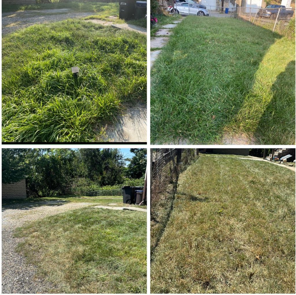 Before/After