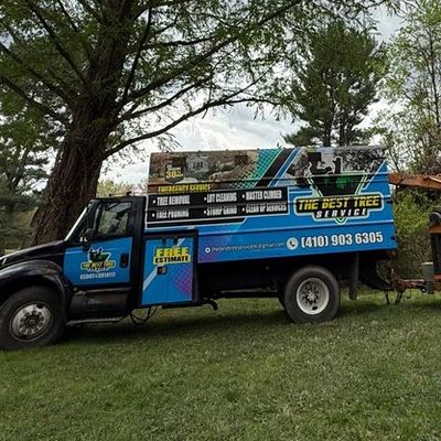 Avatar for The best tree service llc