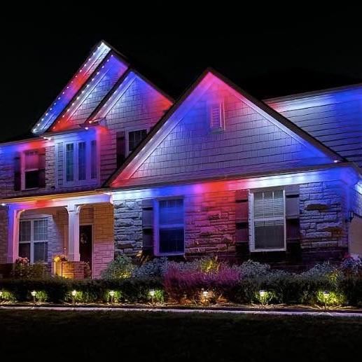 BW Holiday Lights