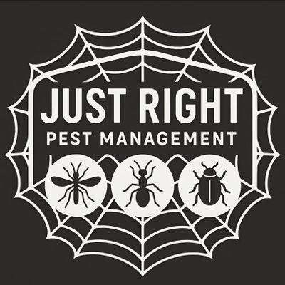 Avatar for Just Right Pest Management
