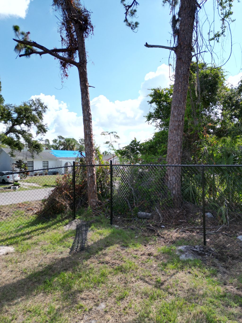 6’ black chain link fence 