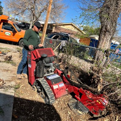 Avatar for Hector Junior Landscaping