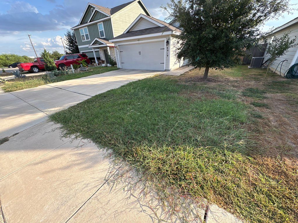 Before yard trimming
