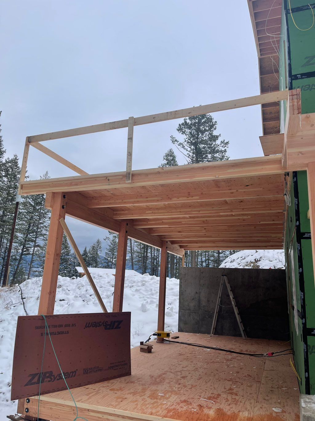 Projects and media