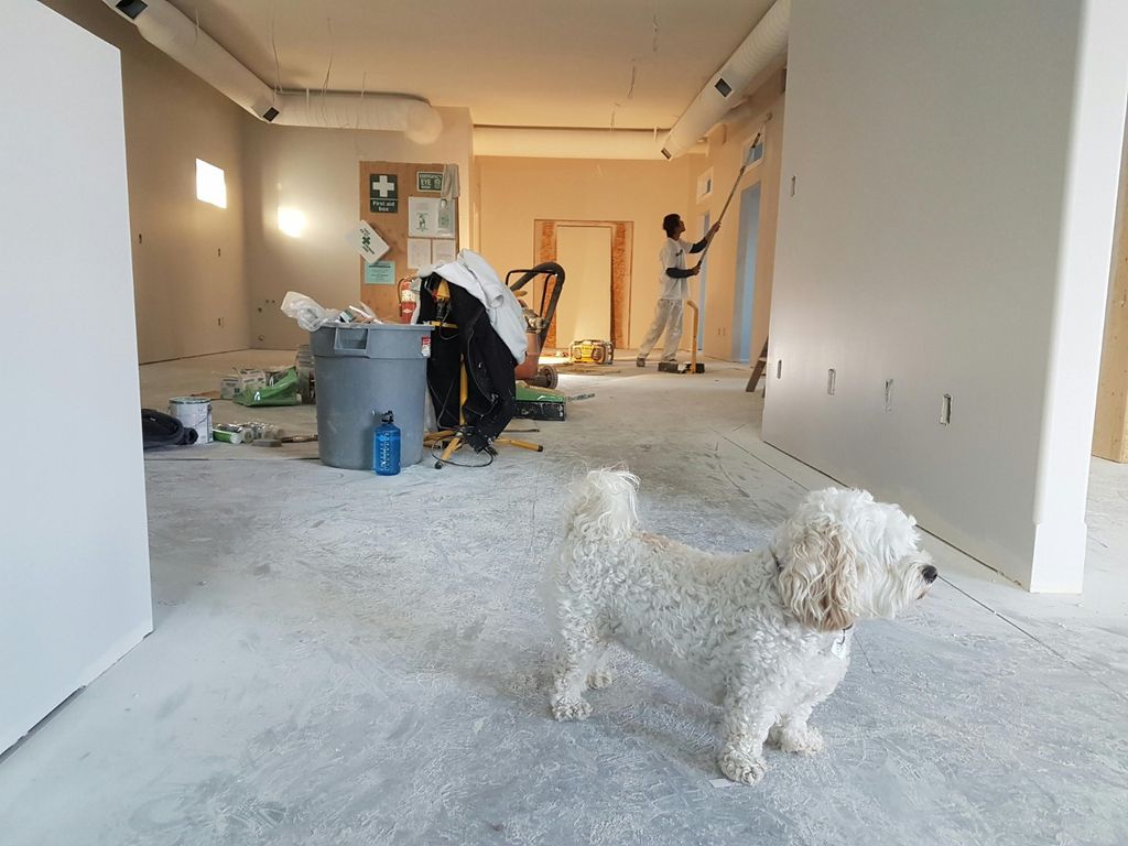 Projects and media