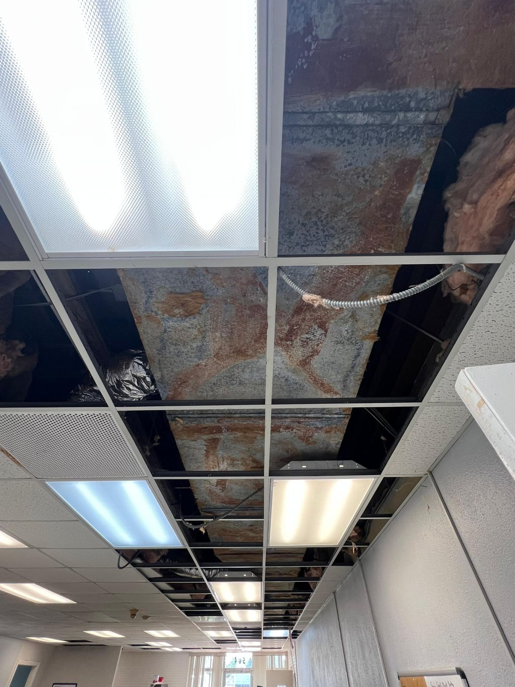 Before Trunk Line Re-insulation