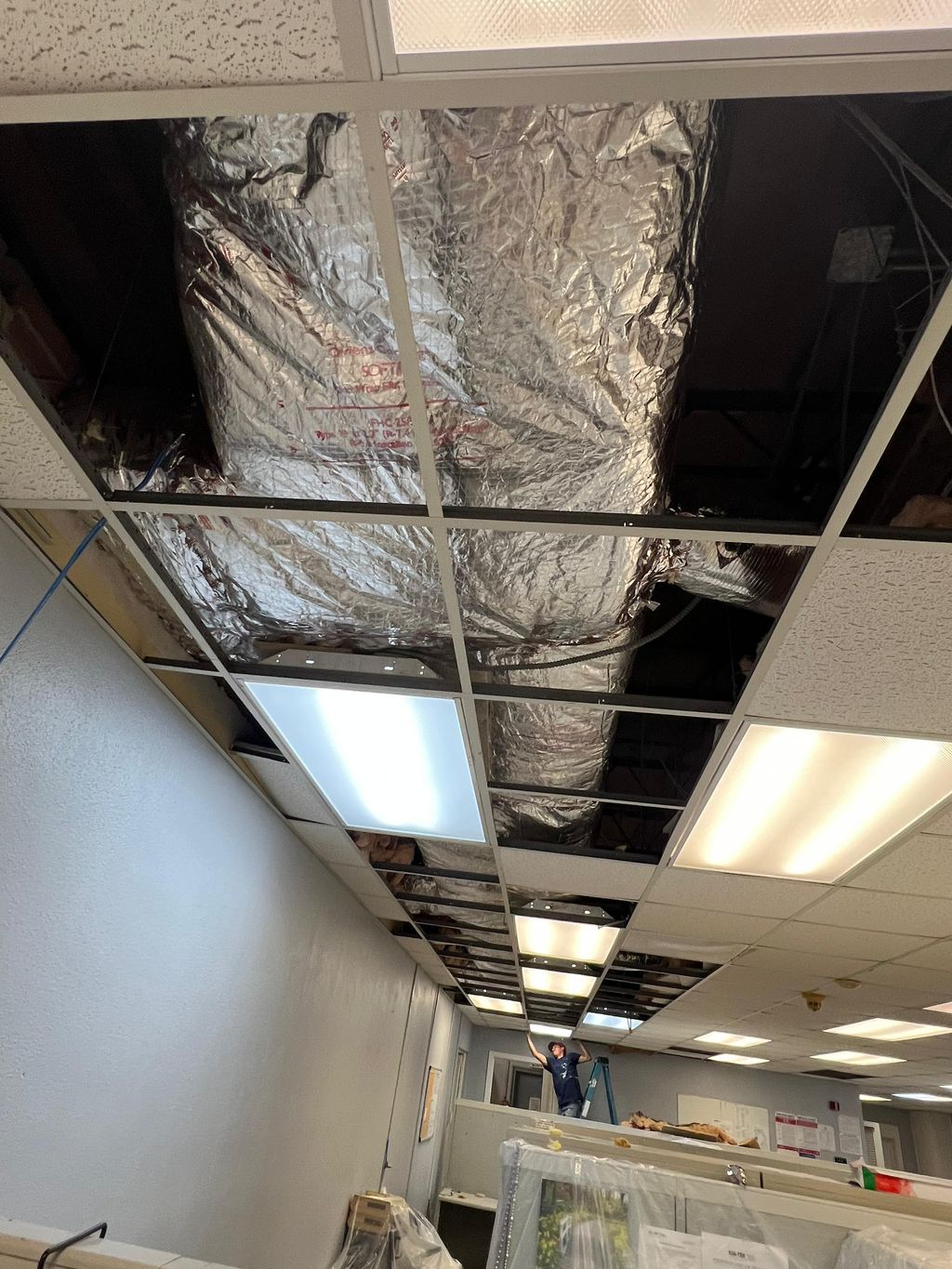 Trunk Line Insulation