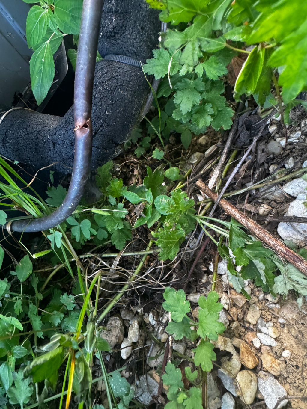 Client cut more than just the weeds, he hit the ac