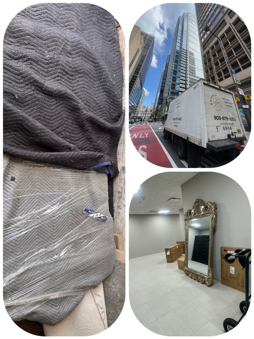 Projects and media
