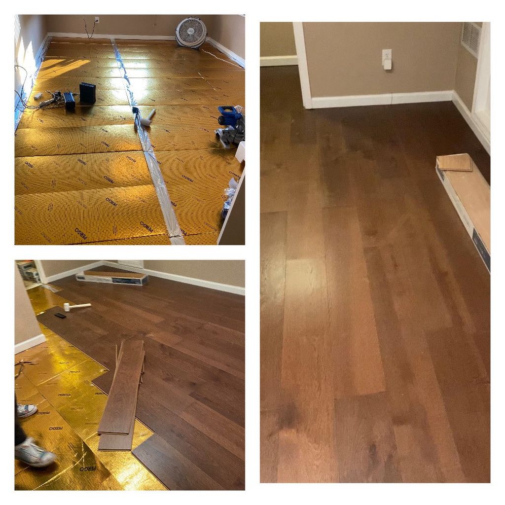 Projects and media