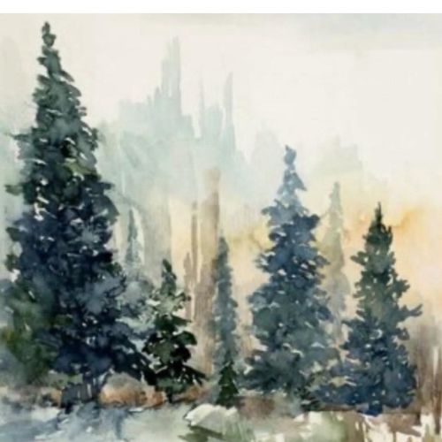 Boise Carpet & Floor Care