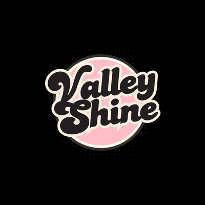 Avatar for Valley Shine Cleaning Co