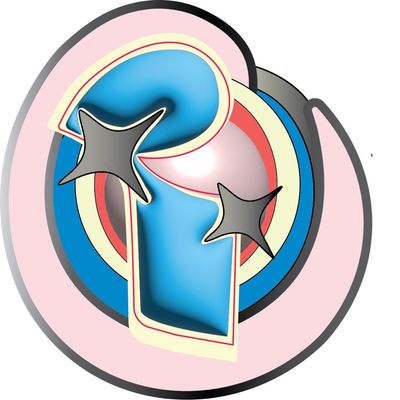 Avatar for Pardee Charms Balloon Arrangements