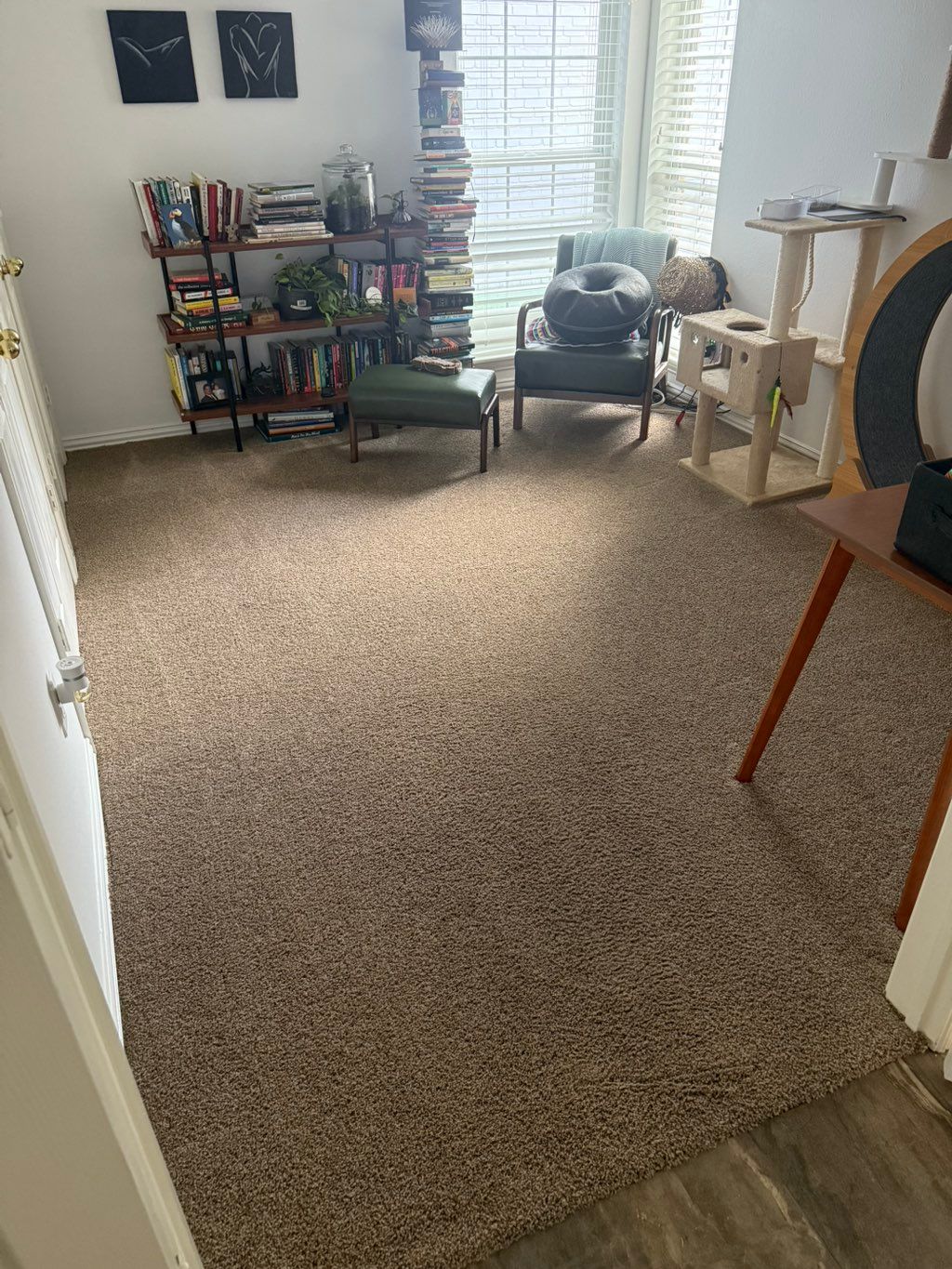 Customer photos