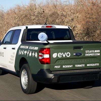 Avatar for Evo Pest Control