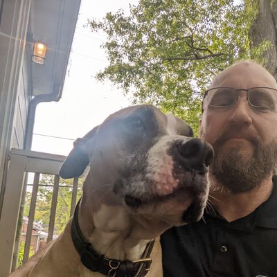 Avatar for House of Wag Dog Training and Sitting Services