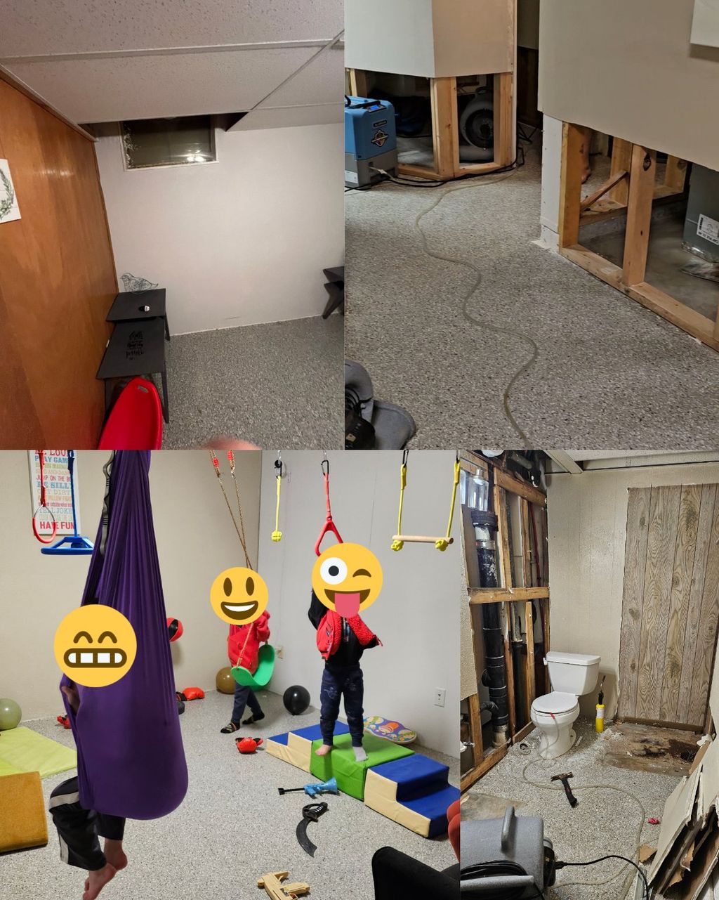 Projects and media