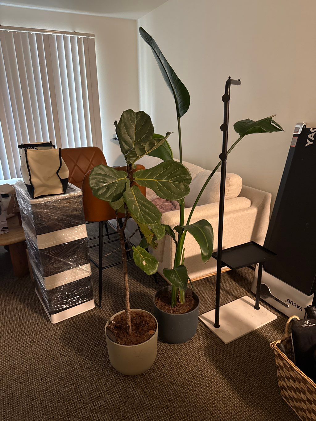 Customer photos