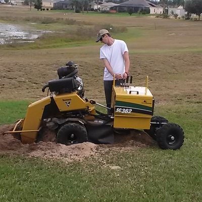 Avatar for All Florida Stump Grinding