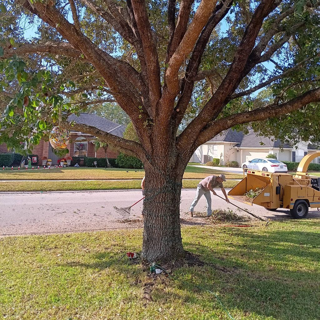 Sunshine Family Builders and Tree Service  20 yrs