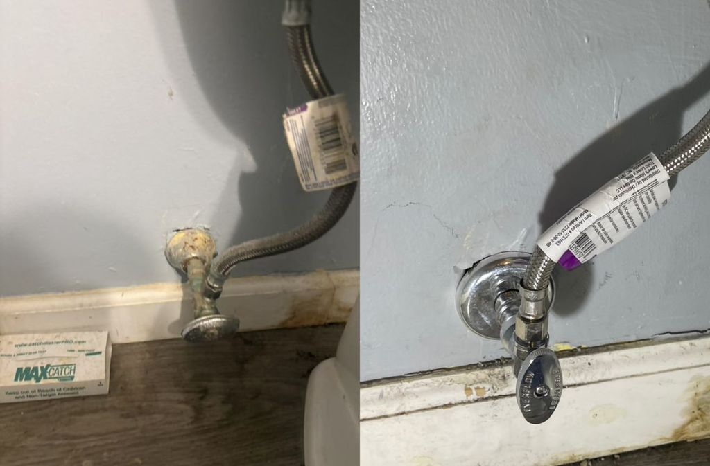 Shut of valve replacement 