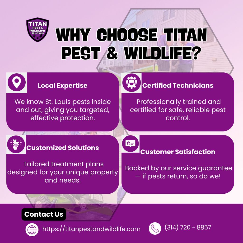 Why Choose Titan Pest & Wildlife?