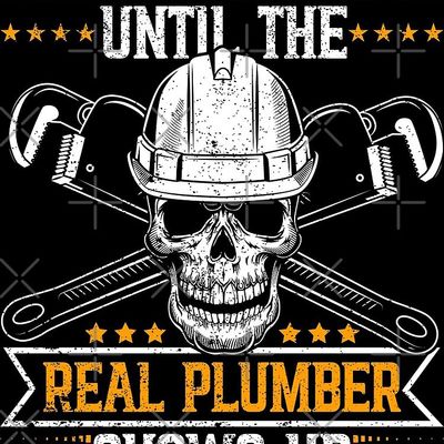 Avatar for Mejia guard plumbing 🪠