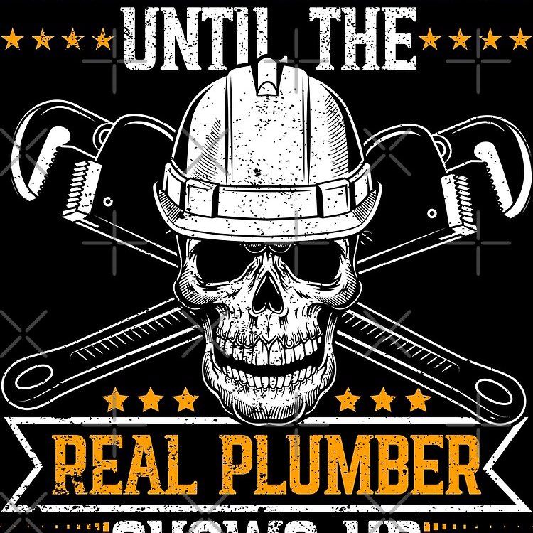 Mejia guard plumbing 🪠