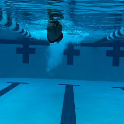 Avatar for Private swim Lessons & lifeguard programs