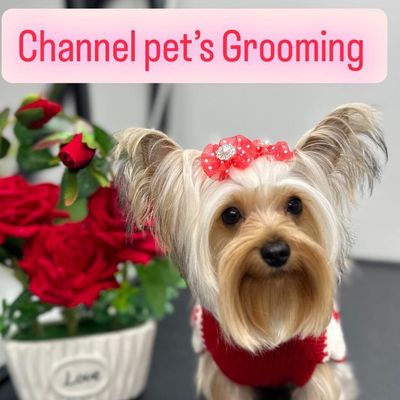 Avatar for Channel pet’s Grooming