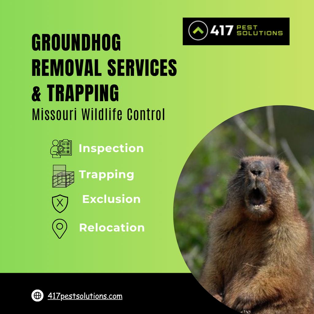 GROUNDHOG REMOVAL SERVICES & TRAPPING