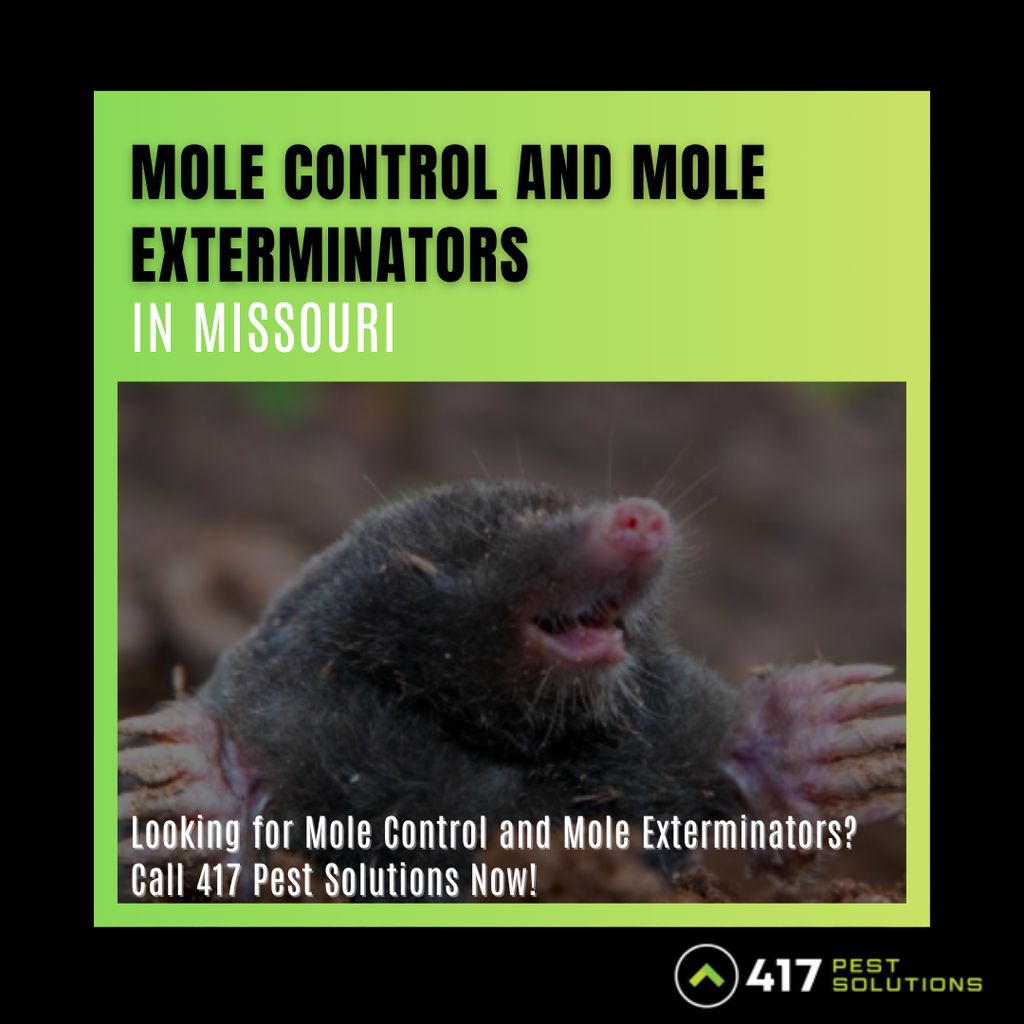 MOLE CONTROL & EXTERMINATORS