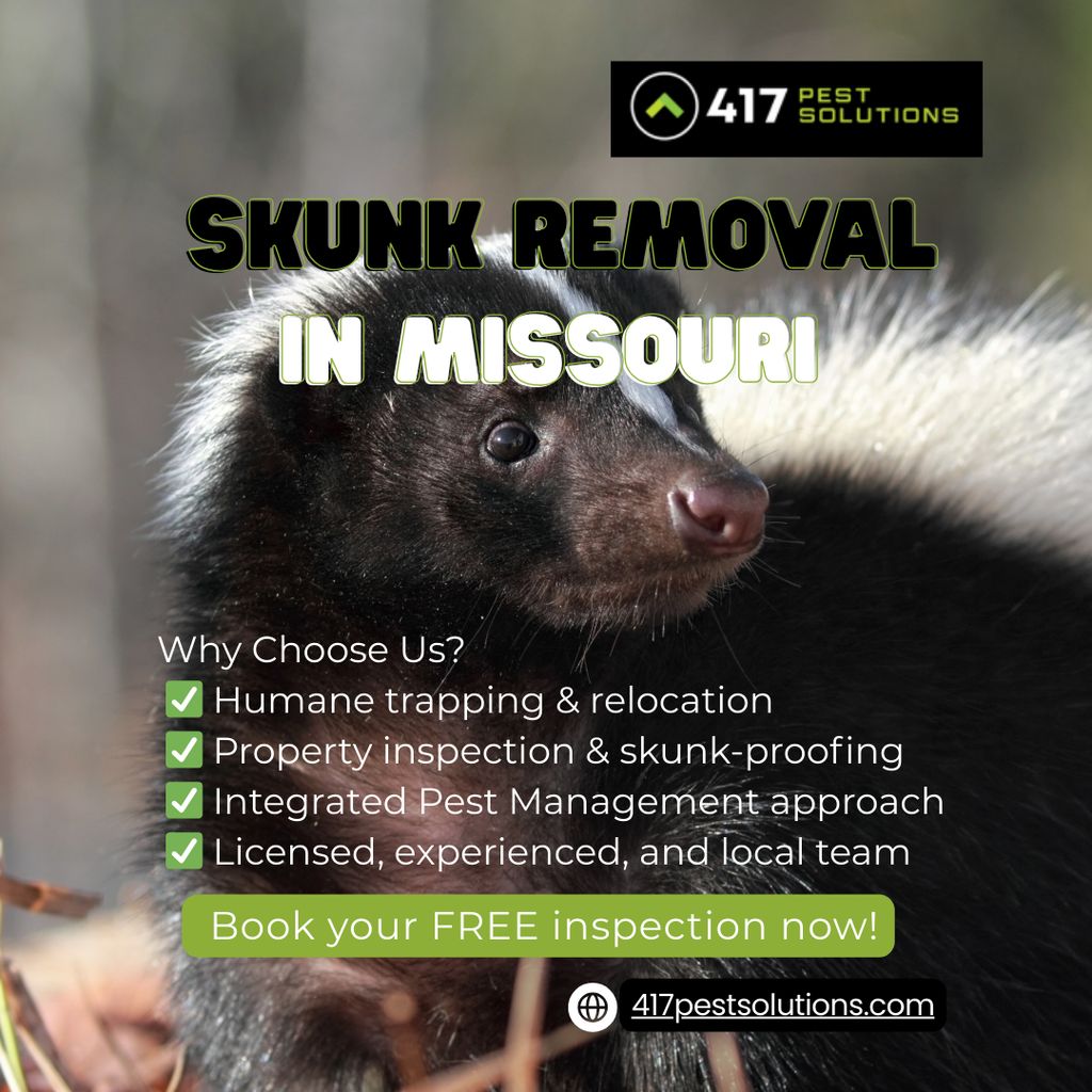 SKUNK REMOVAL