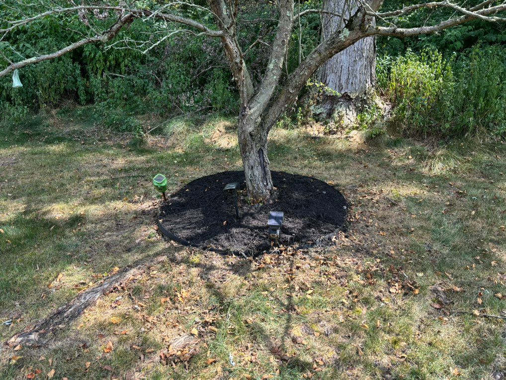 Re-mulch 