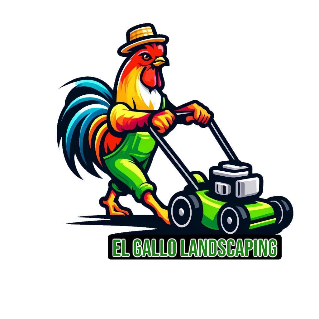 El gallo landscaping Florida
