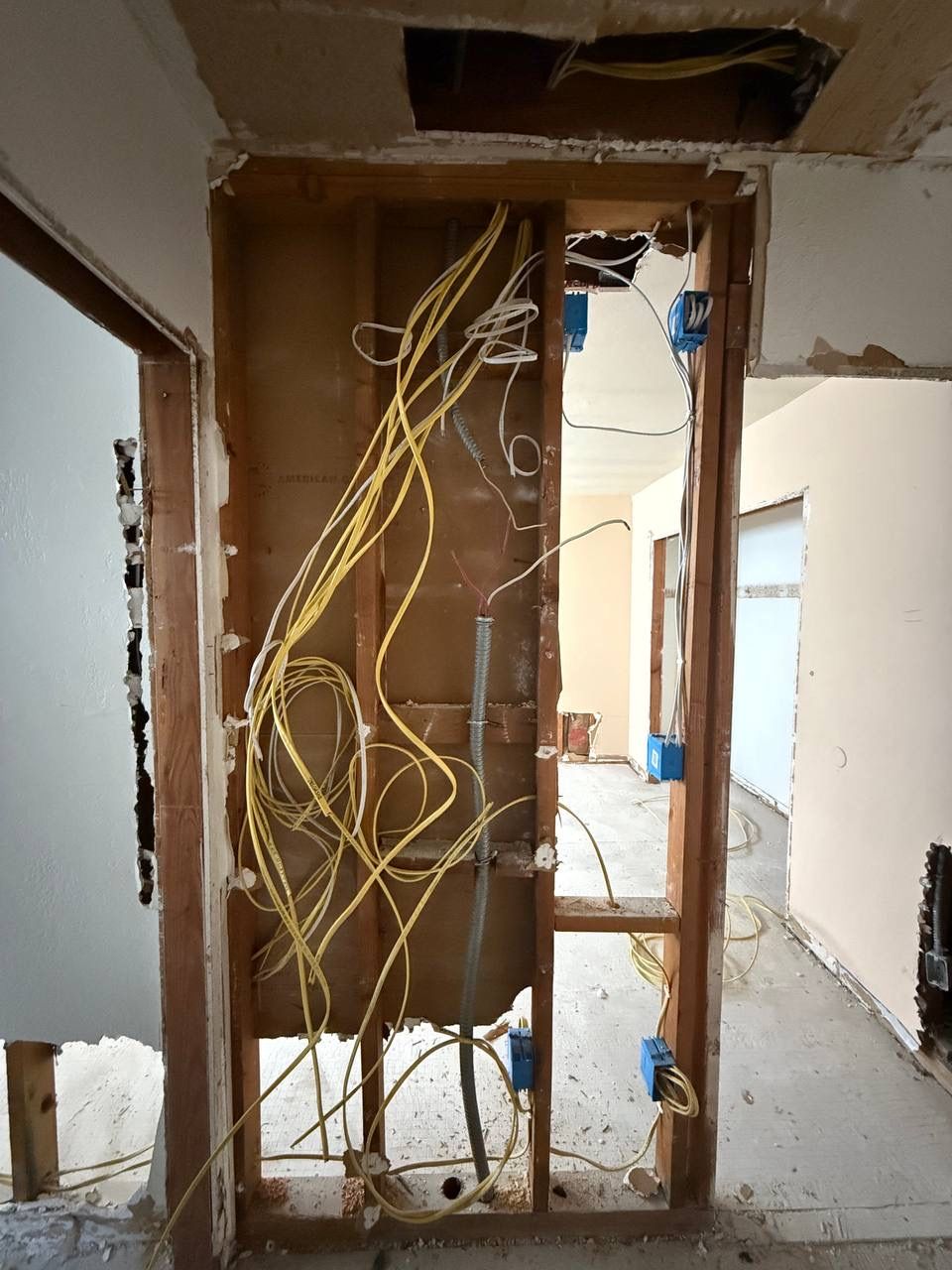 Projects and media
