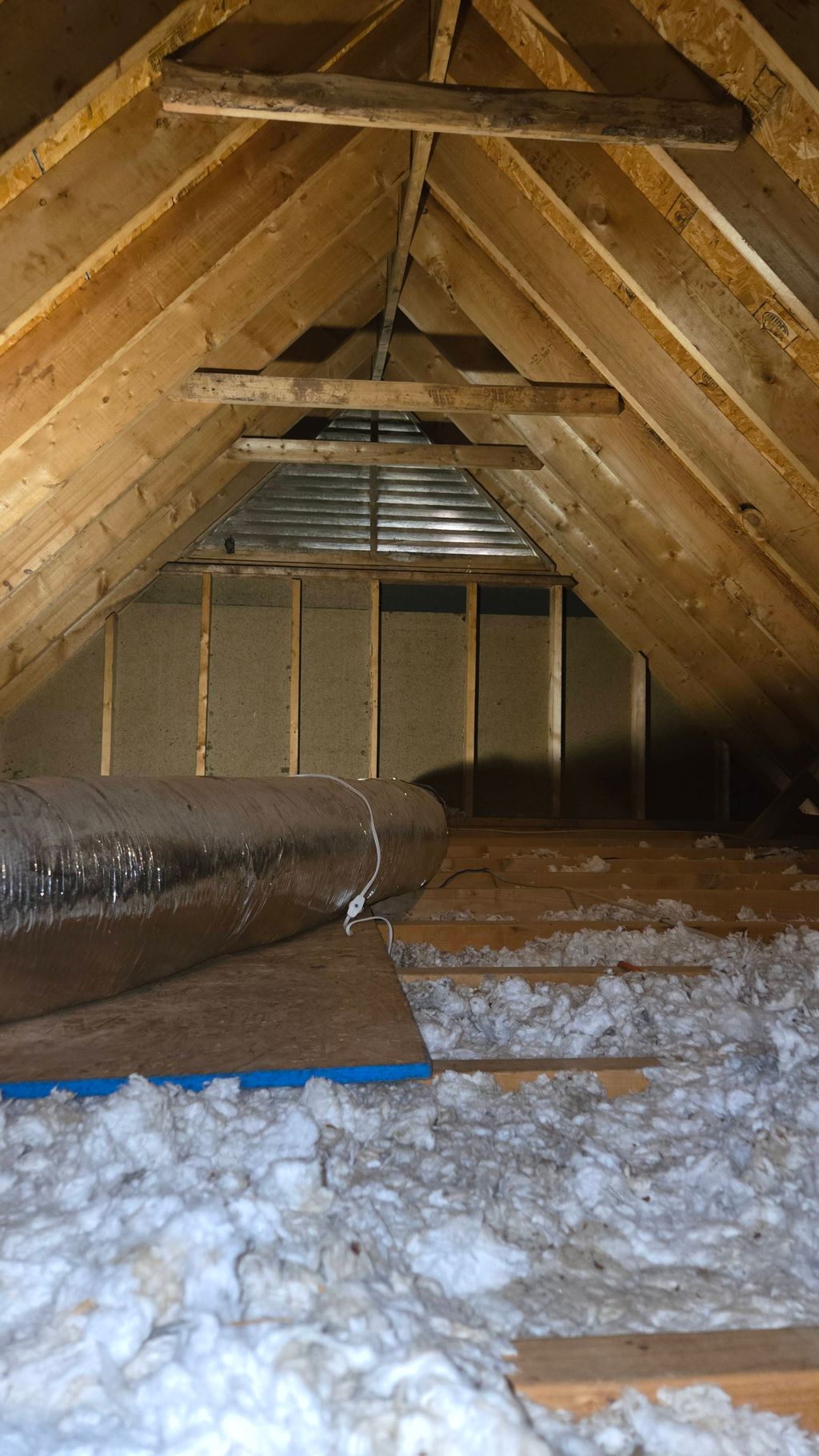 Attic view showing displaced, unsanitary insulatio